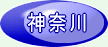 神奈川県大会成績